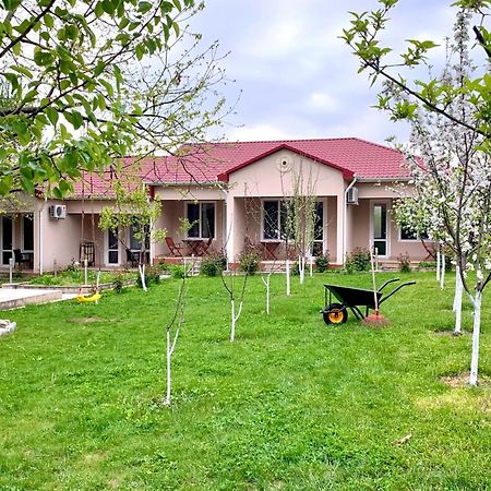 Cozy Family Cottages Vendam Eksteriør bilde